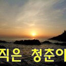 청춘 Daum카페
