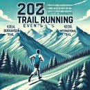 2025년 성남 런 페스티벌 이미지