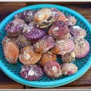 일등수산물 이미지