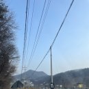 더숲 | 양평군 서종면 북카페 인더숲 솔직후기, 아메리카노·카페라떼 마시며 독서 힐링