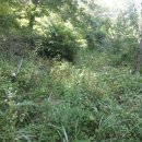 월산1리 이미지