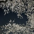 모덕체육공원 테니스장 이미지