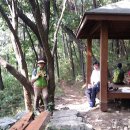 꽃마을 약수터 이미지