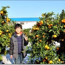 태완농장 이미지