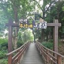 늘솔길공원편백나무숲 다함께 나눔길