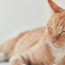 구구메디칼 이미지