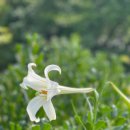 기지초등학교 이미지