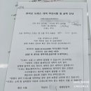 지민목장 | [W18] 제주 유아오 드레스 대여 솔직후기! (롱, 미니, 유색드레스)