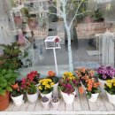 블링펫살롱 이미지