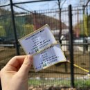 우리네트 | 태조산 산림레포츠 짚코스터,숲모험,공중네트 후기