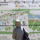 뚝섬한강공원-22 이미지