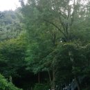 세은상회 이미지