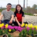 호림농장 이미지