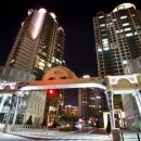 위시티로 이미지