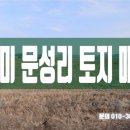 선산대로-13 이미지