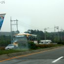 홍주여객 이미지