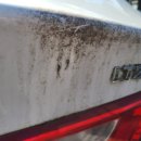 운양동손세차장 이미지