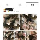 보배횟집