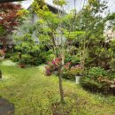 위미쉼팡 이미지