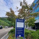 법원 경매 (10주 과정) | 영덕법원 토지경매 입찰과정과 낙찰후기