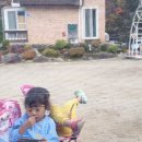 네스트캠핑장 이미지