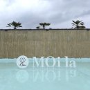 평화동-05 | 전주 평화동 모이라 Moi la 신상 대형카페 다녀왔어요:)