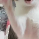 밍이브