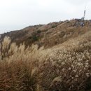 광천정기시장 이미지