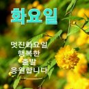 3월21일 화요일 창원방 출석부 춘분 이미지