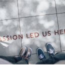 엔테오스 이미지