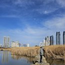 태화동급수시설 | 울산 태화강 국가 정원 십리대숲 산책 코스