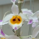 대포초등학교 이미지