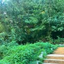 새말공원 화장실 이미지