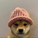 밈