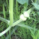 민수농장 이미지