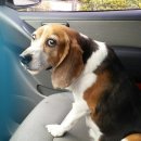 상률초등학교 이미지