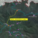 농협사거리(단원) 이미지