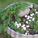 소희꽃농원 이미지