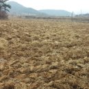 대건2농장 이미지