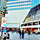 병국 Daum카페