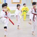 용문태권도장 이미지