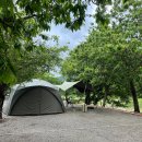 💫율무네 5월 캠핑_양양 골짜구니 캠핑장🏕