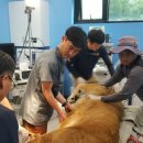 청주랜드관리사업소(동물원) 이미지