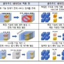 네이티브서울 이미지