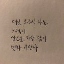 다죠아짐