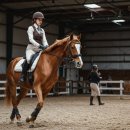 오케이승마목장 이미지