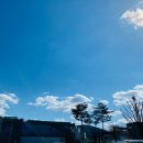 어부네짜장