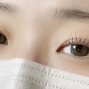 선그리다 네이버블로그