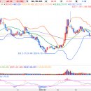 종합사료 이미지