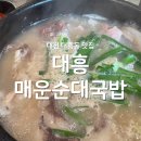 세븐일레븐대전대흥현대점 | 대전 대흥동 맛집 대흥 매운 순대국밥 신상맛집 후기